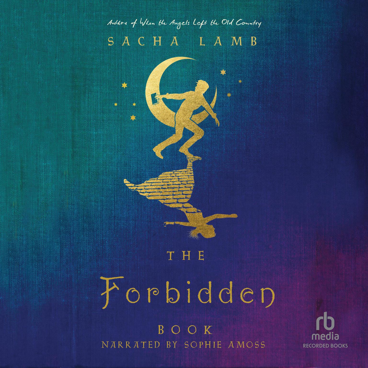 The Forbidden Book Audiobook, by Sacha Lamb