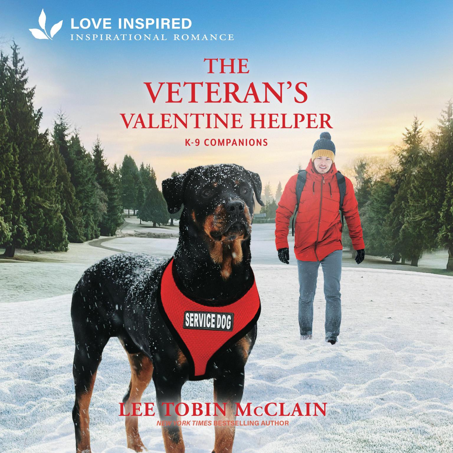 The Veterans Valentine Helper Audiobook, by Lee Tobin McClain