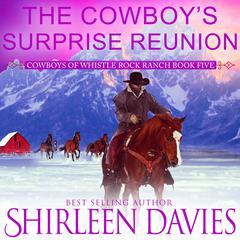 The Cowboys Surprise Reunion: Clean as a Whistle Second Chance Contemporary Western Romance Audiobook, by Shirleen Davies