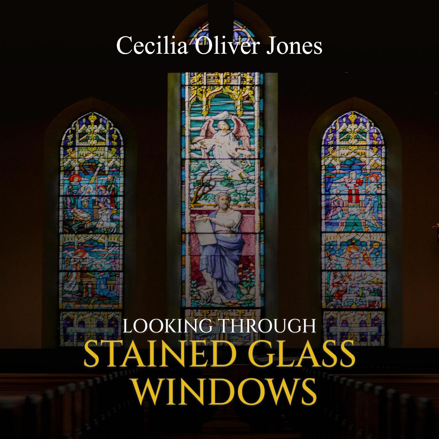 Looking Through Stained Glass Windows Audiobook, by Cecilia Oliver Jones