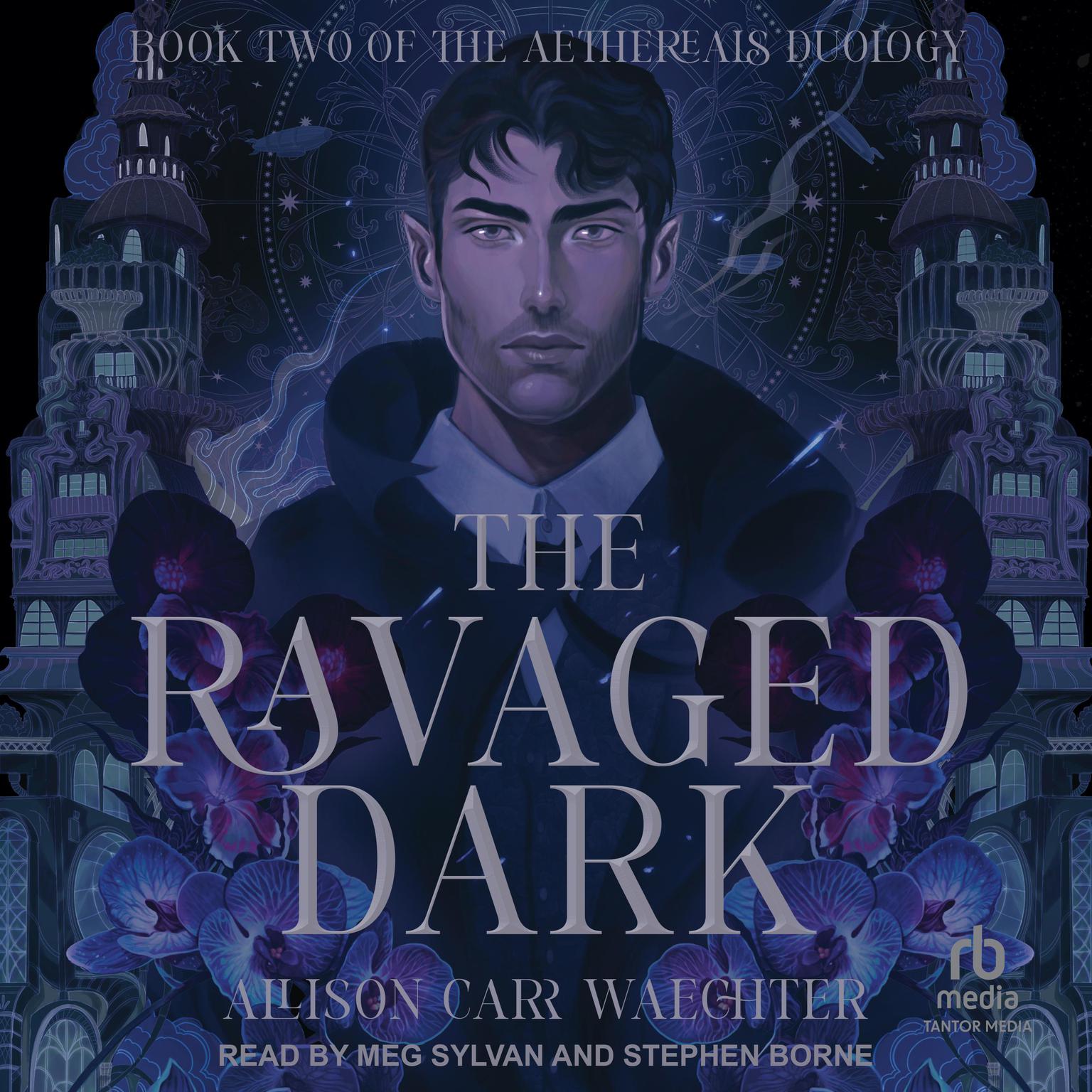 The Ravaged Dark Audiobook, by Allison Carr Waechter