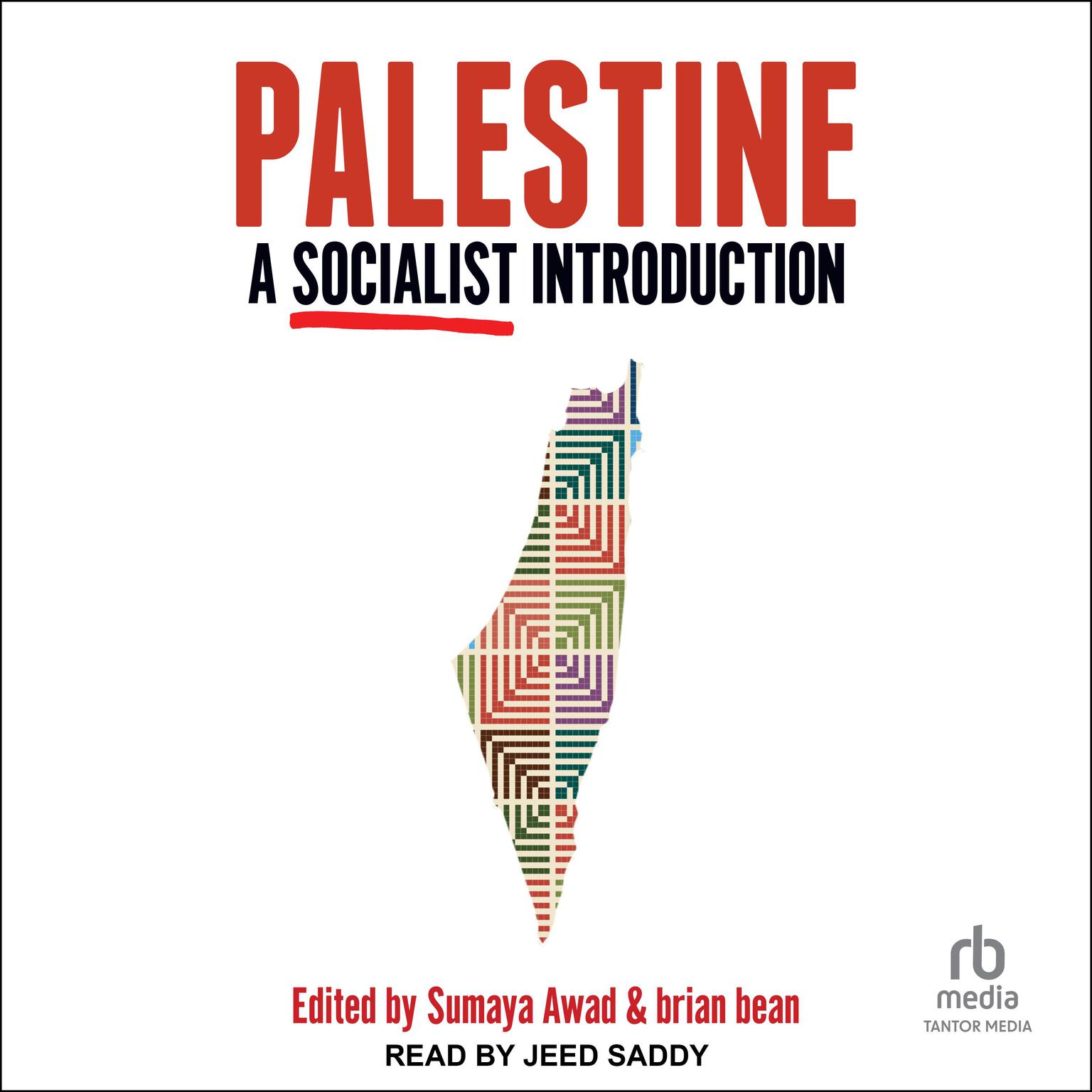 Palestine: A Socialist Introduction Audiobook, by brian bean