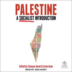 Palestine: A Socialist Introduction Audibook, by brian bean