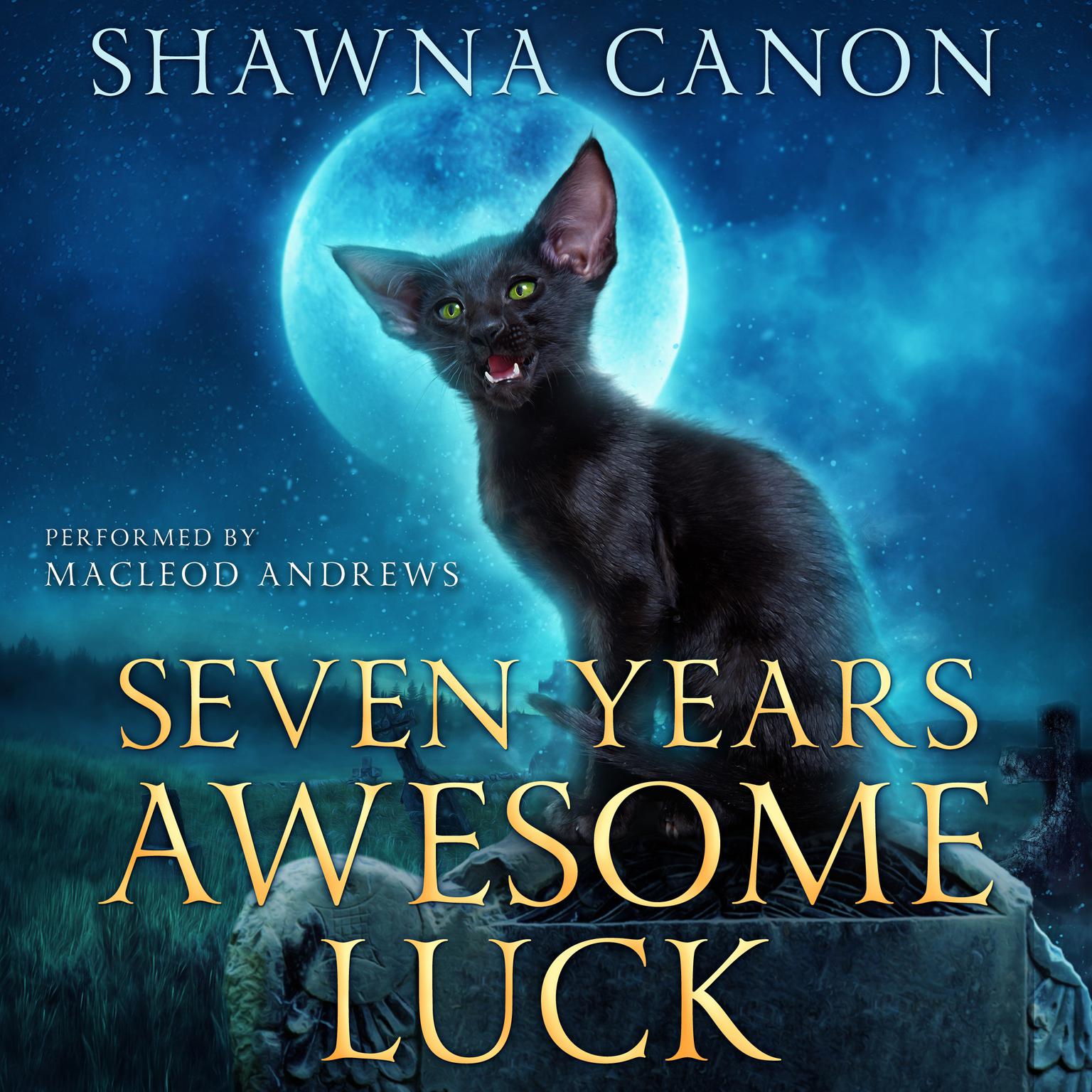 Seven Years Awesome Luck Audiobook, by Shawna Canon