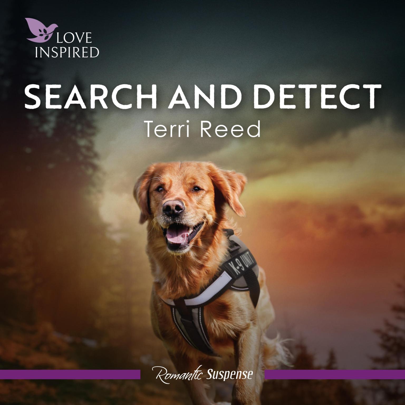 Search And Detect Audiobook, by Terri Reed