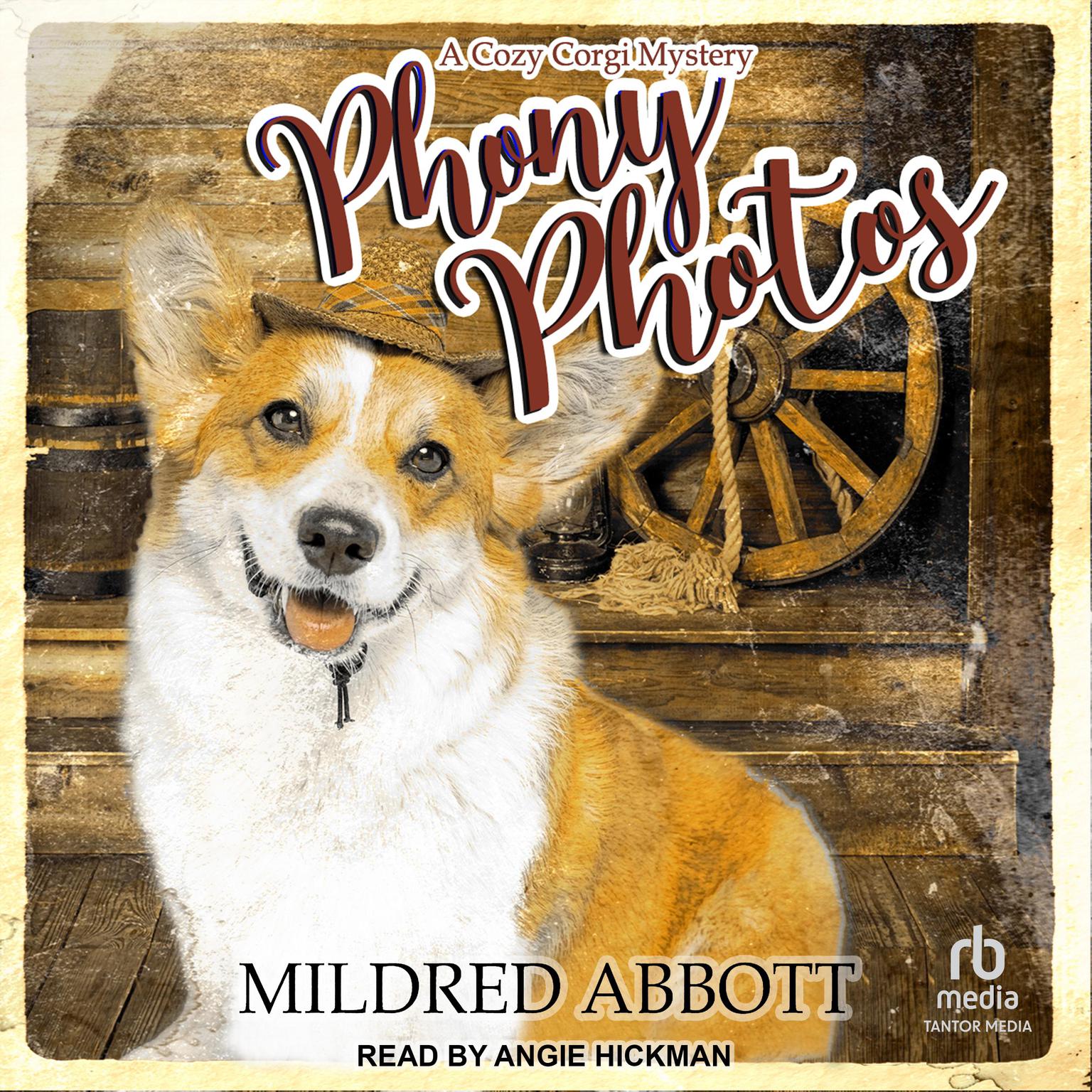 Phony Photos Audiobook, by Mildred Abbott