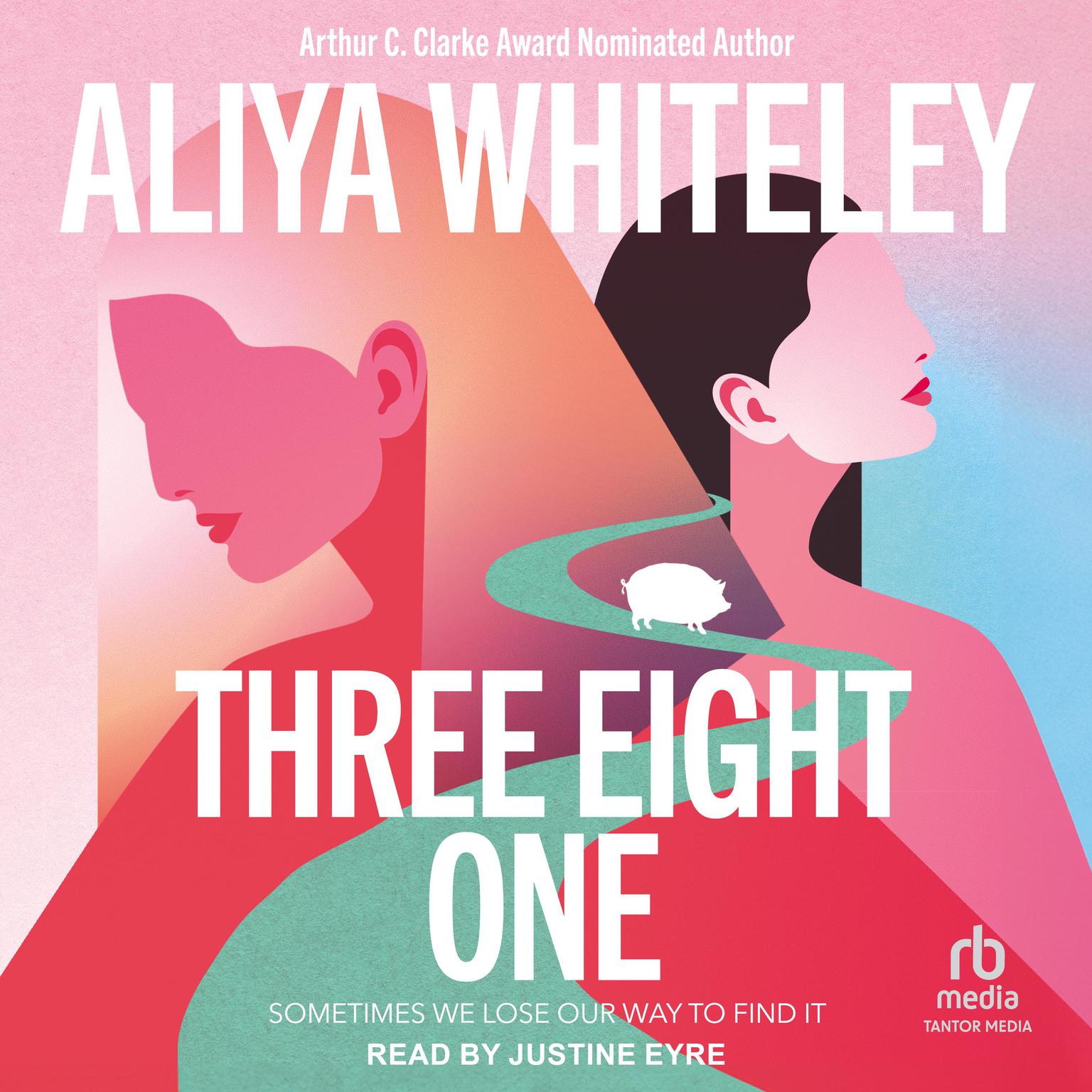 Three Eight One Audiobook, by Aliya Whiteley