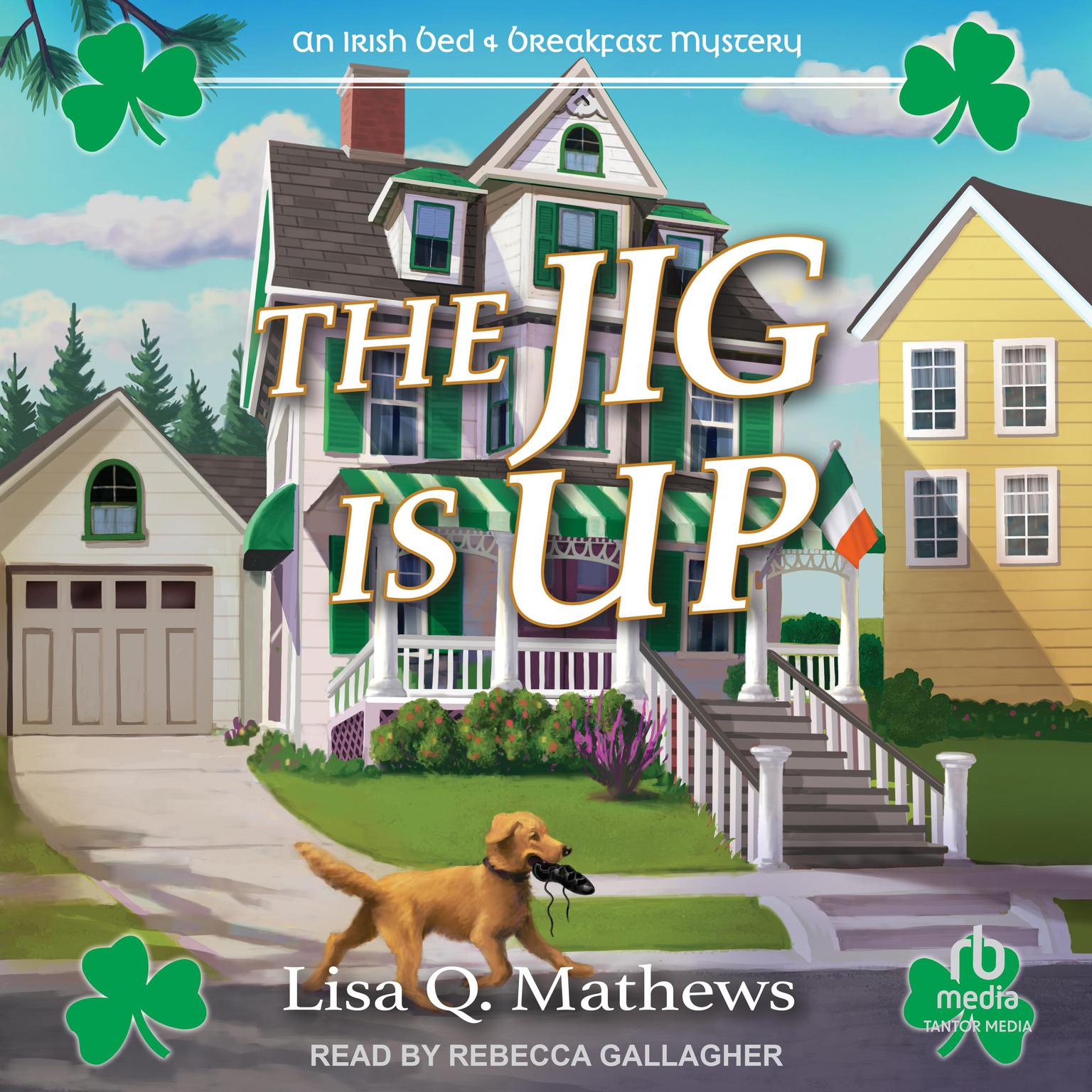 The Jig Is Up Audiobook, by Lisa Q. Mathews