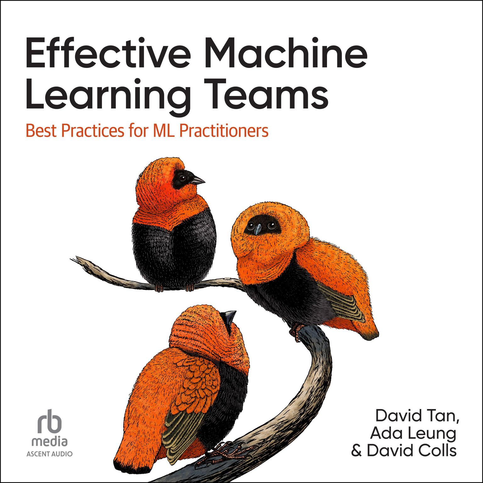 Effective Machine Learning Teams: Best Practices for ML Practitioners Audiobook, by Ada Leung