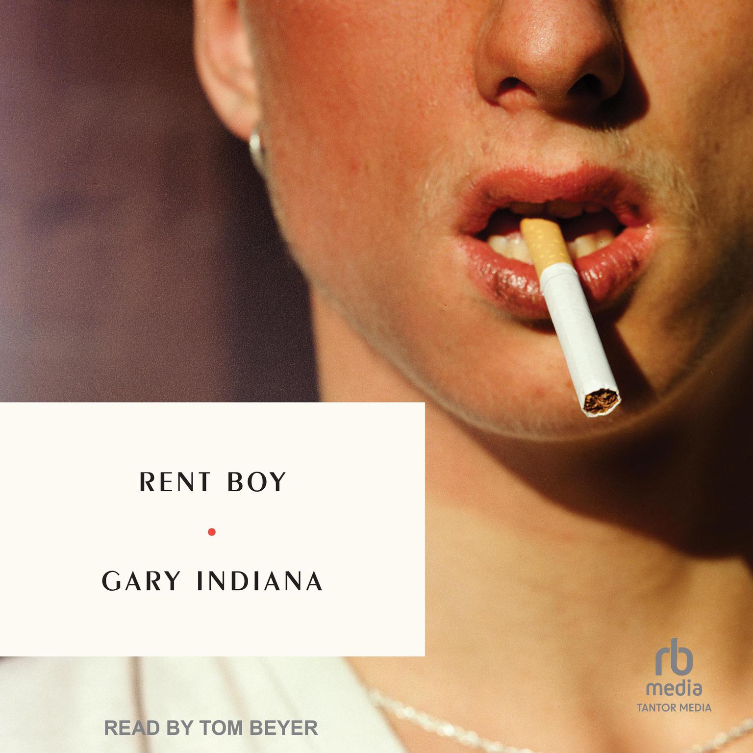 Rent Boy Audiobook, by Gary Indiana