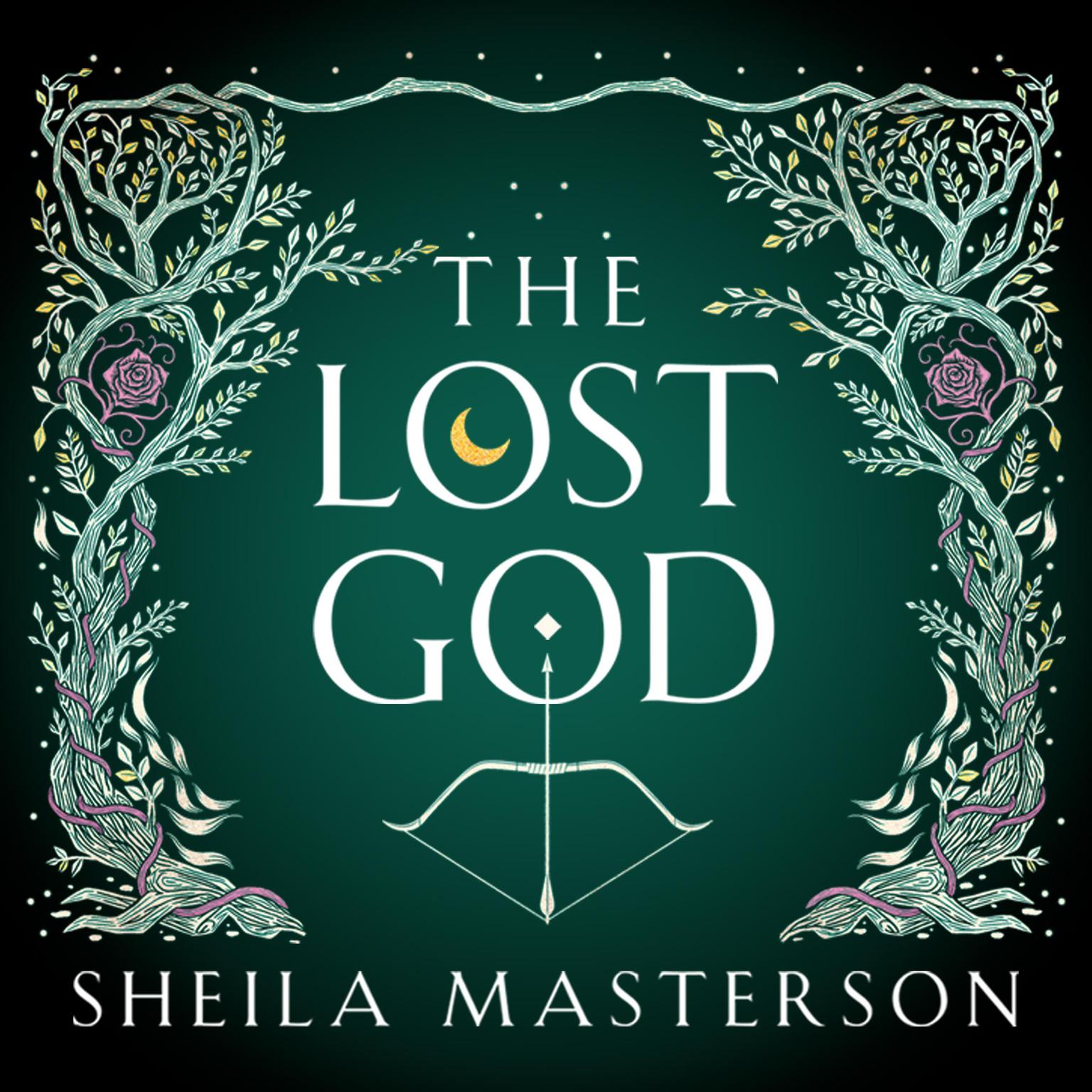 The Lost God Audiobook, by Sheila Masterson