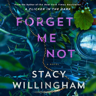 Forget Me Not: A Novel Audibook, by Stacy Willingham
