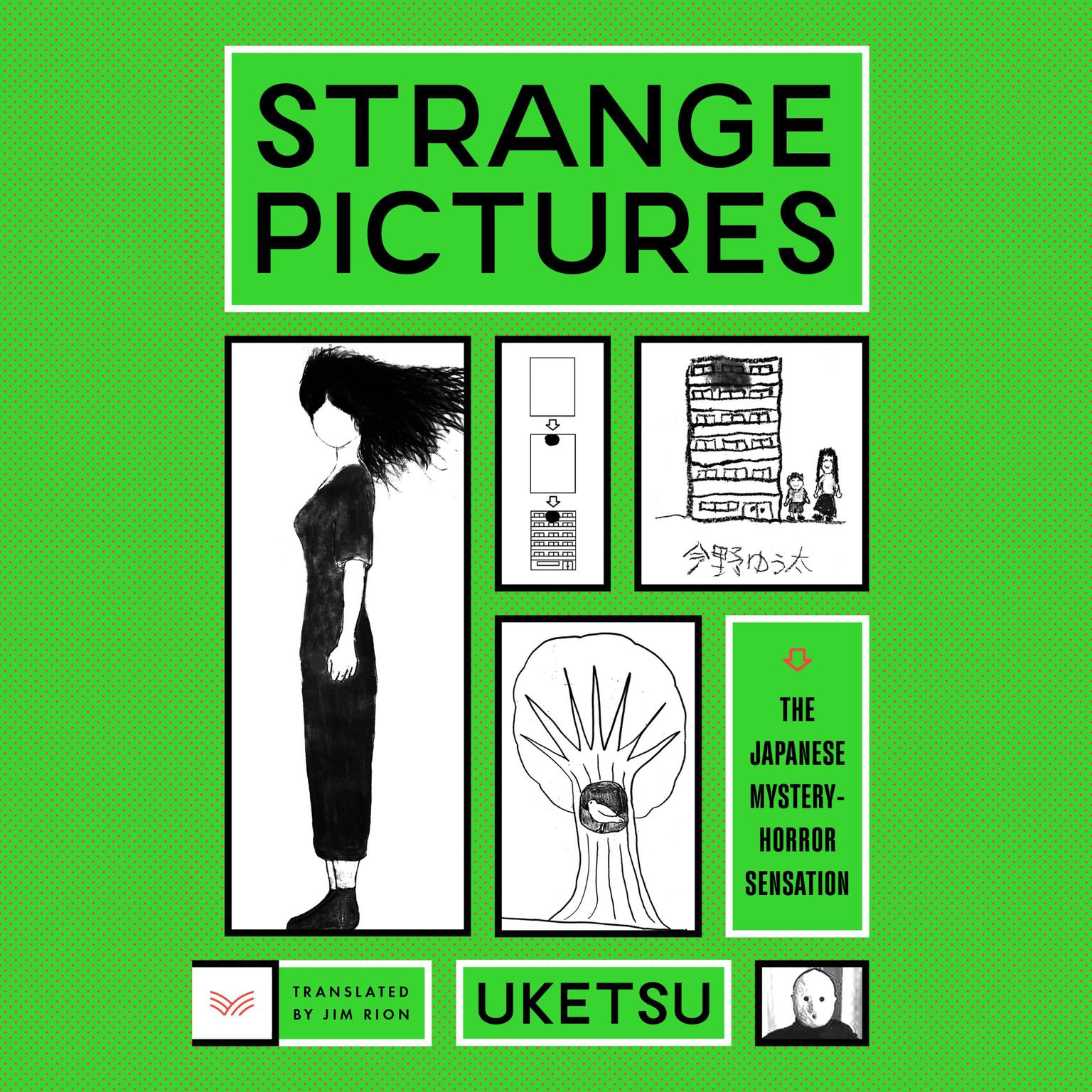 Strange Pictures: A Novel Audiobook, by Uketsu 