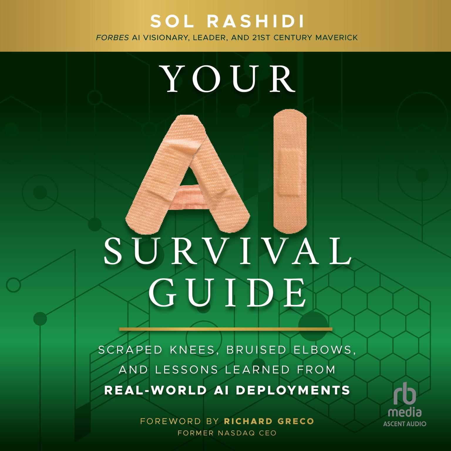 Your AI Survival Guide: Scraped Knees, Bruised Elbows, and Lessons Learned from Real-World AI Deployments Audiobook, by Sol Rashidi