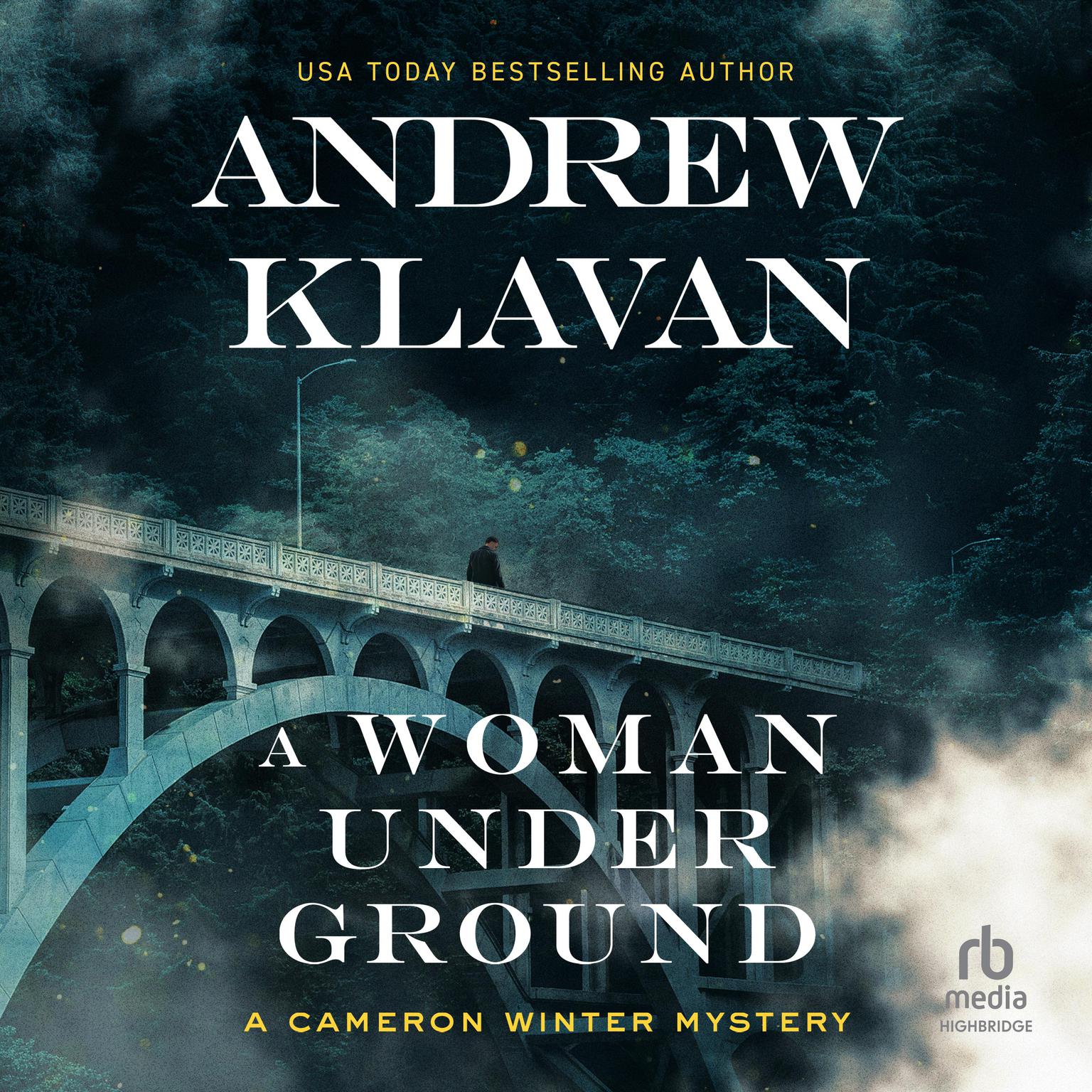 A Woman Underground Audiobook, by Andrew Klavan