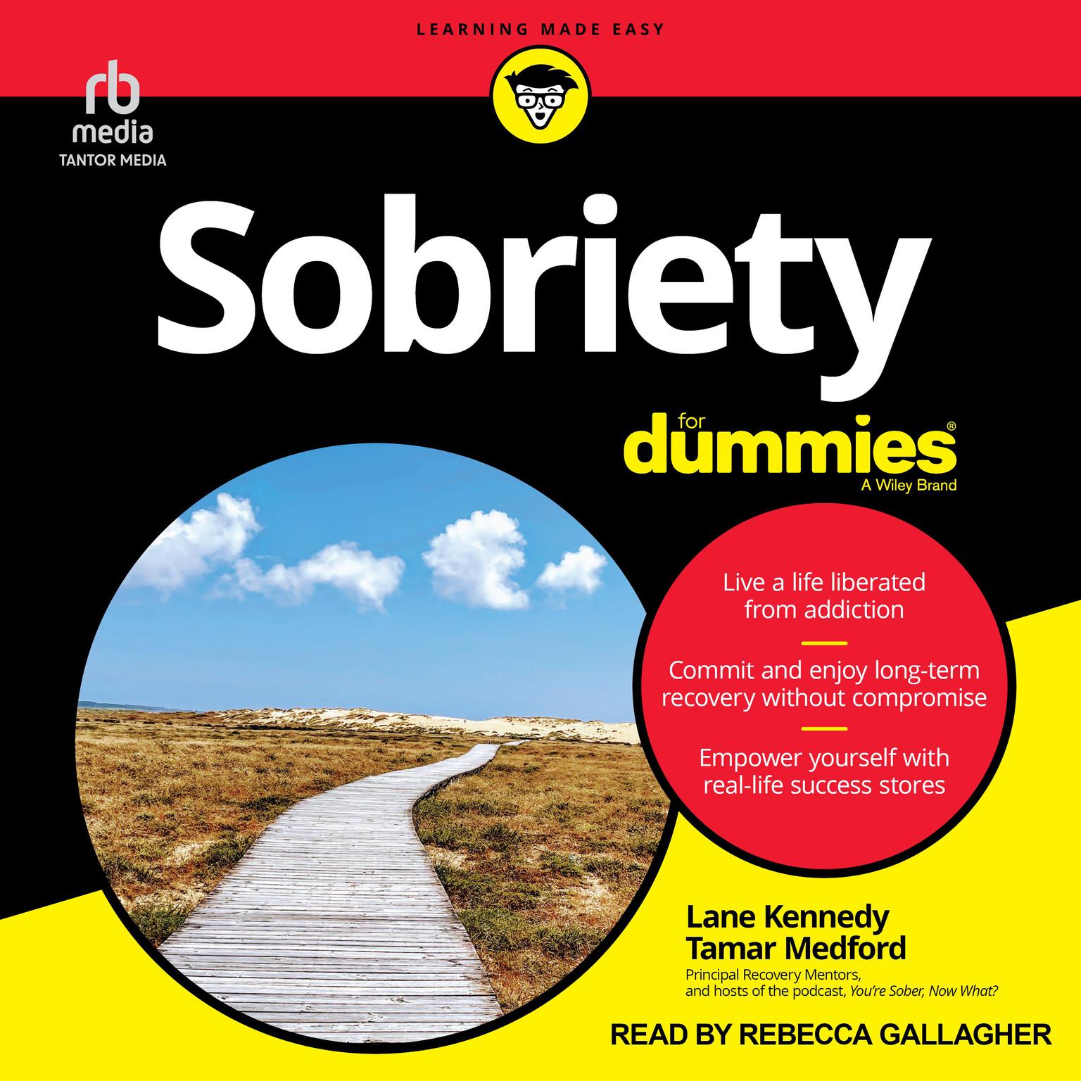 Sobriety For Dummies Audiobook, by Lane Kennedy