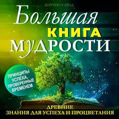 The Big Book of WISDOM: Ancient Knowledge for Success and Prosperity [Russian Edition] Audiobook, by Matthew Wilde