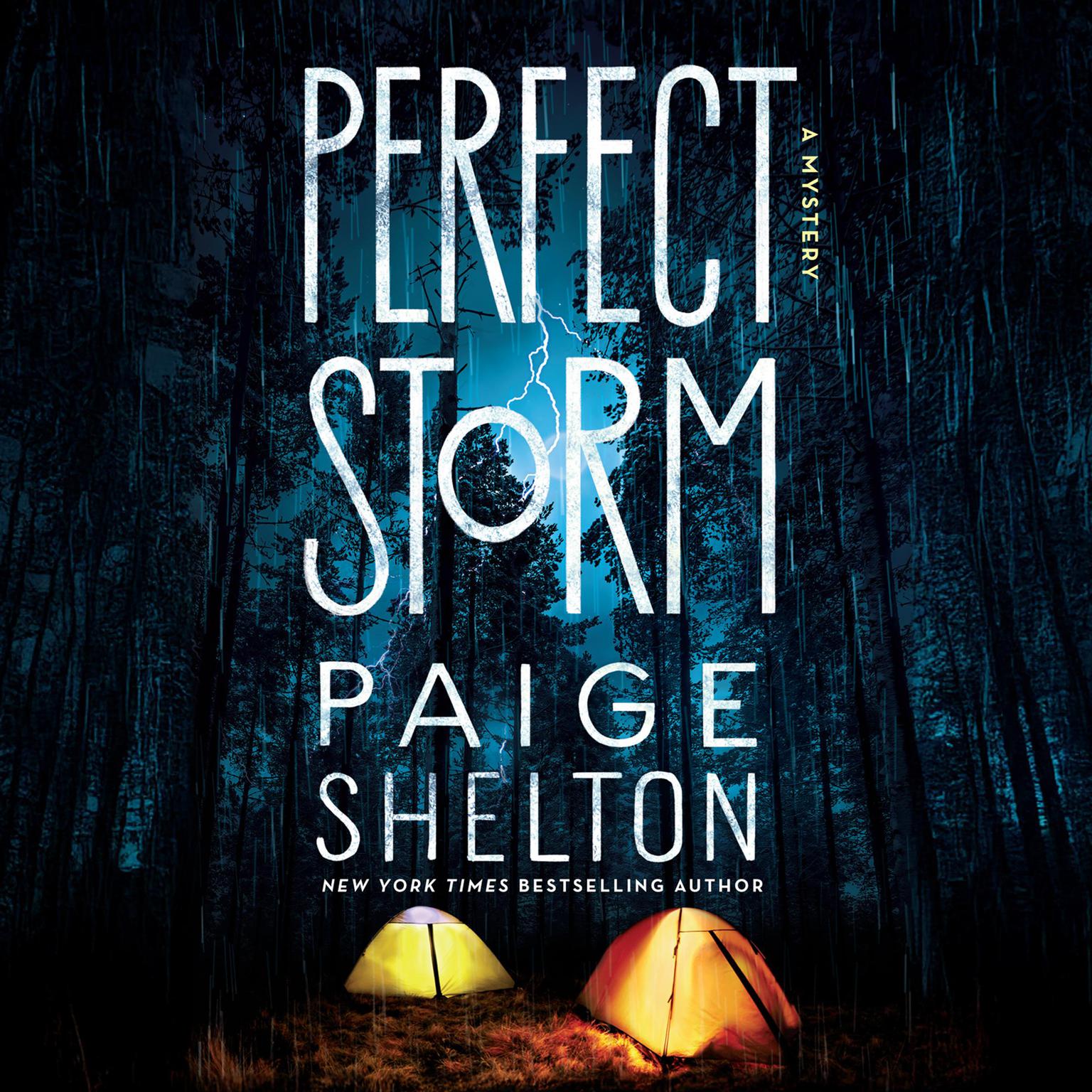 Perfect Storm Audiobook, by Paige Shelton