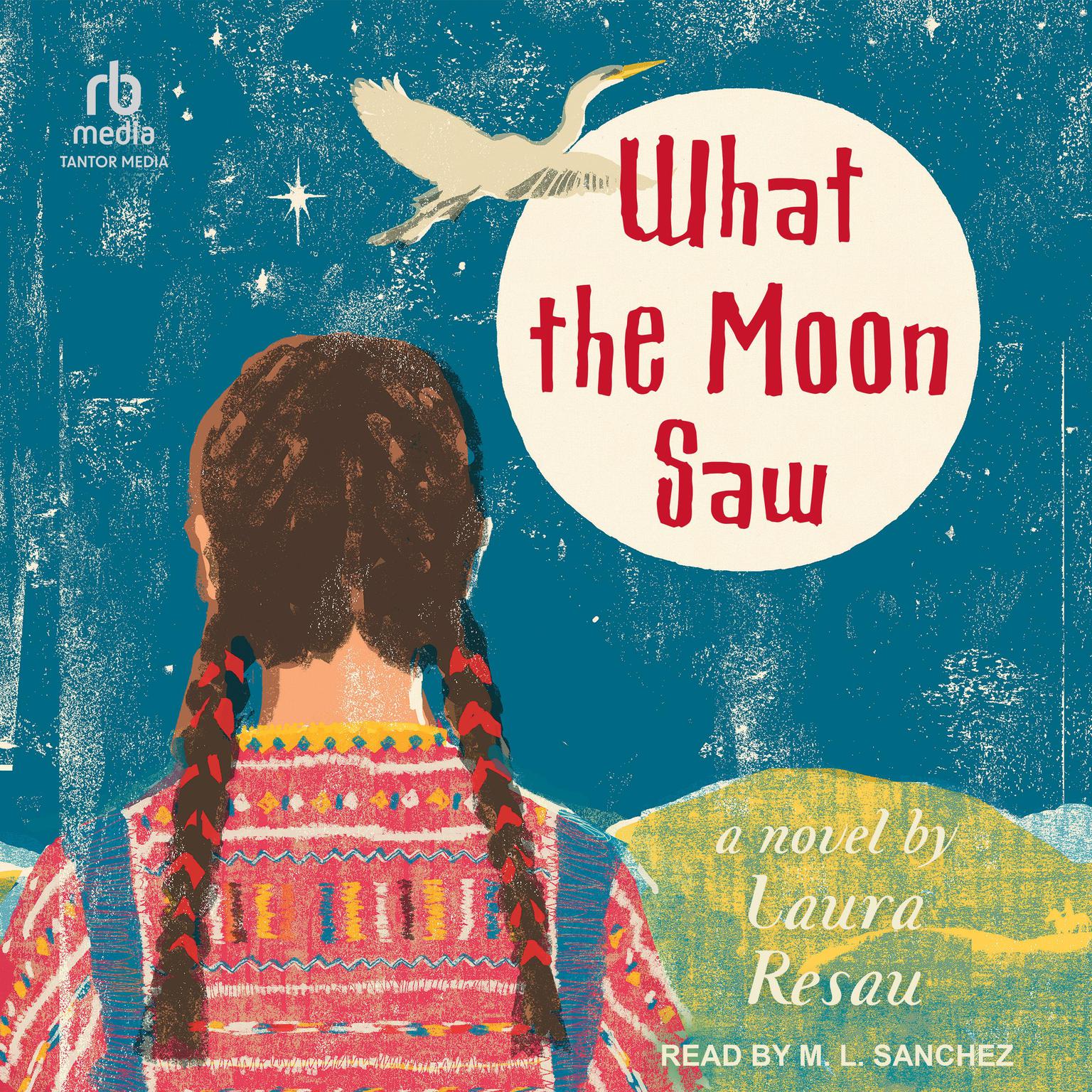 What the Moon Saw Audiobook, by Laura Resau