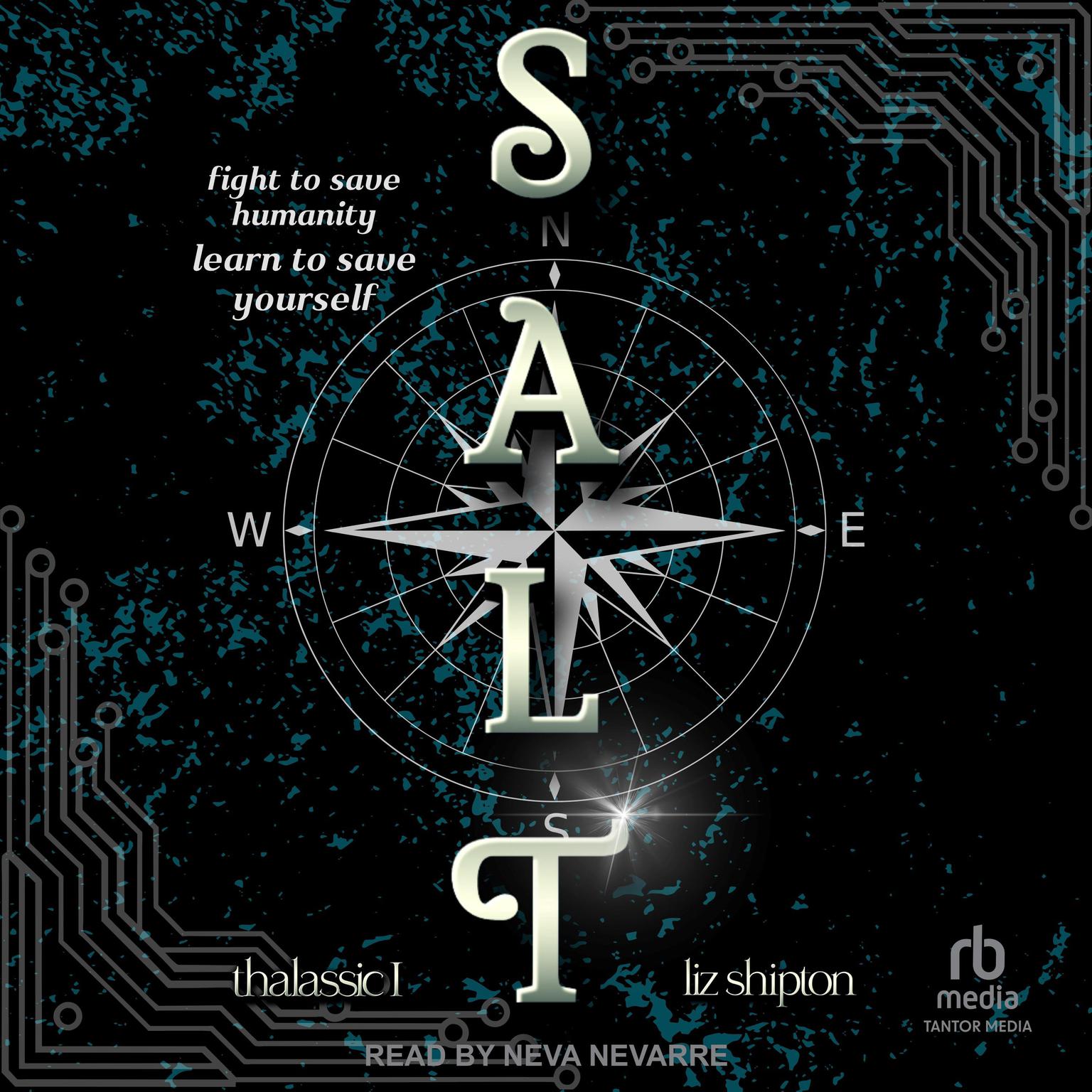 Salt Audiobook, by Liz Shipton