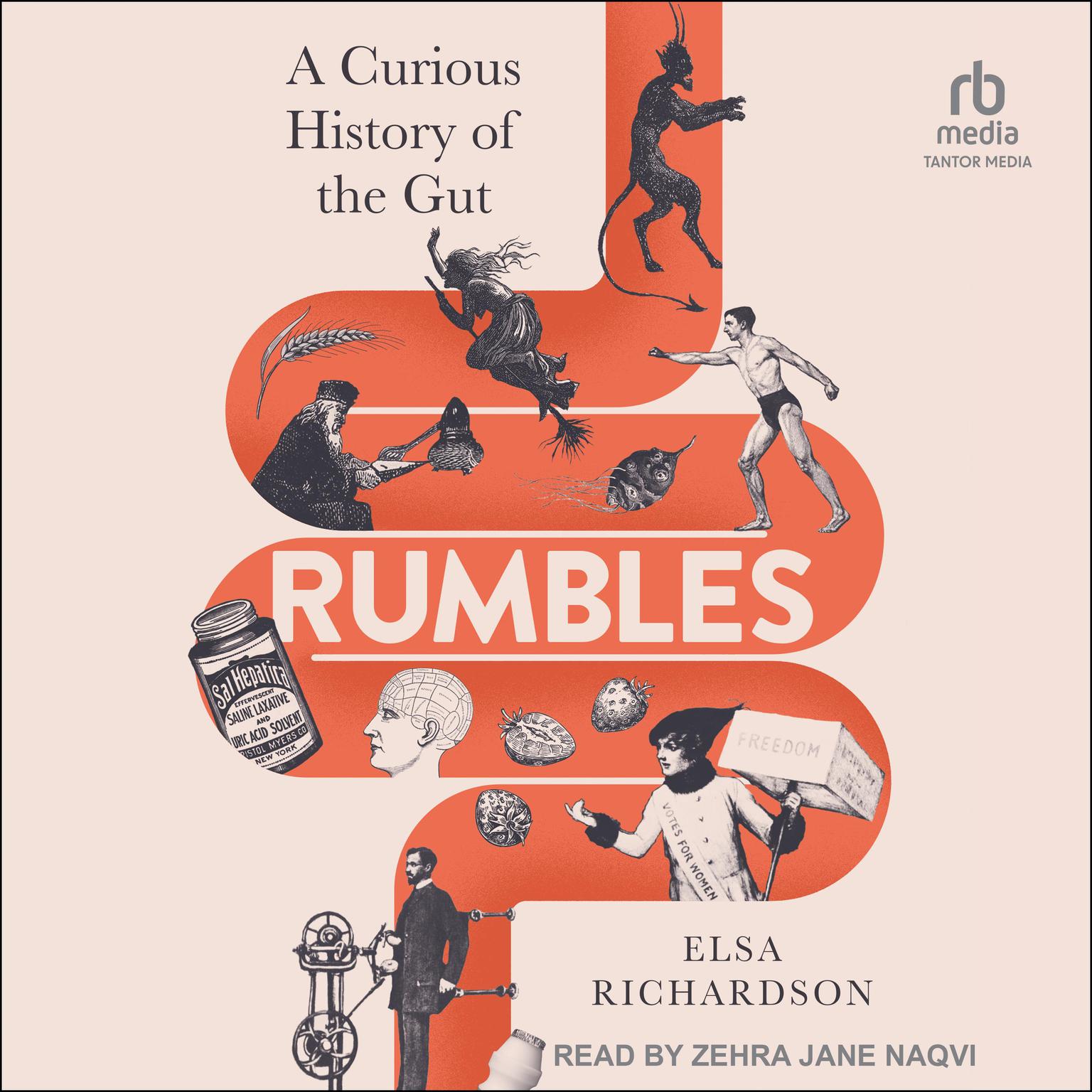 Rumbles: A Curious History of the Gut: The Secret Story of the Body’s Most Fascinating Organ Audiobook, by Elsa Richardson