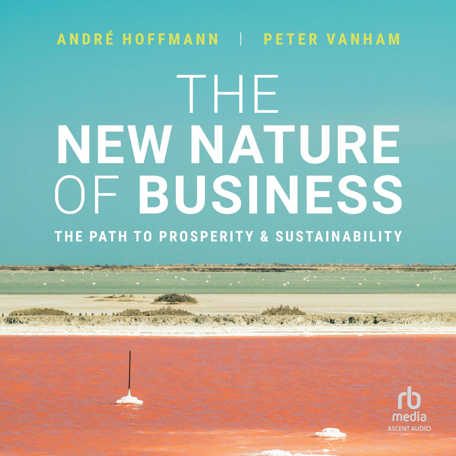 The New Nature of Business: The Path to Prosperity and Sustainability Audiobook, by Andre Hoffmann