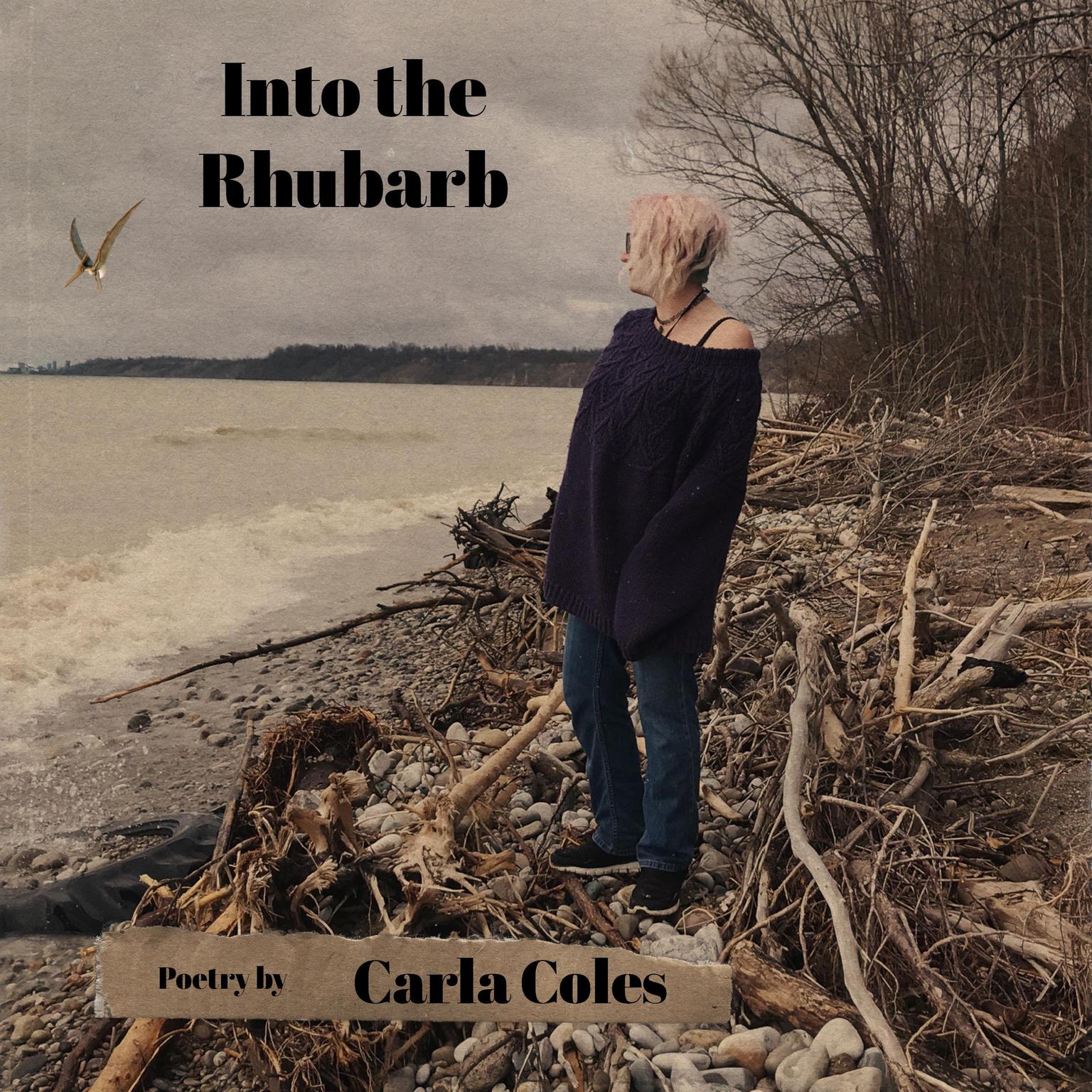 Into the Rhubarb Audiobook, by Carla Coles