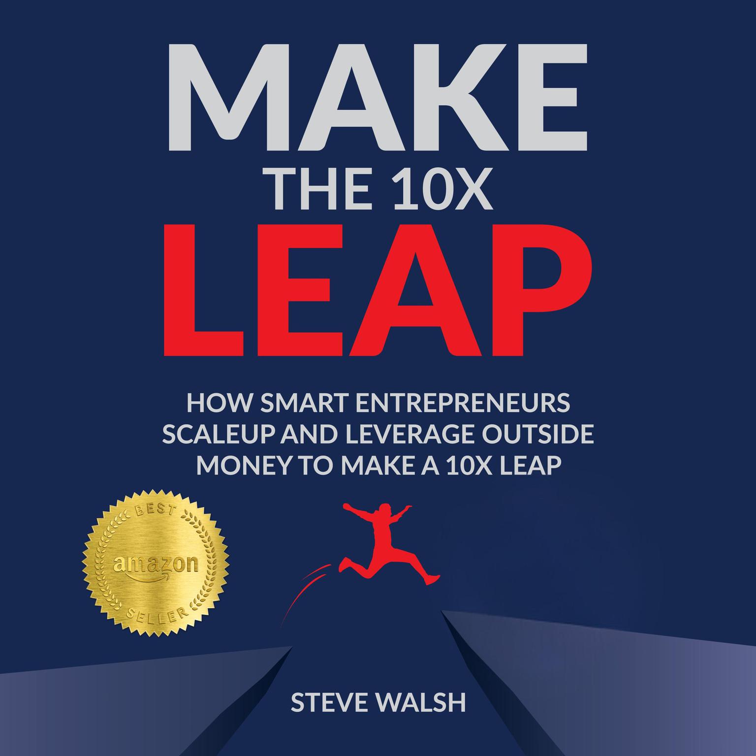 Make the 10X Leap: How Smart Entrepreneurs Scale Up and Leverage Outside Money to Make a 10X Leap Audiobook, by Steve Walsh