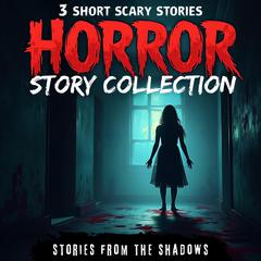 Horror Story Collection. 3 Short Scary Stories: A Bone-Chilling Anthology of Paranormal Terror, Supernatural Suspense &  Dark Mysteries Audibook, by Stories From The Shadows