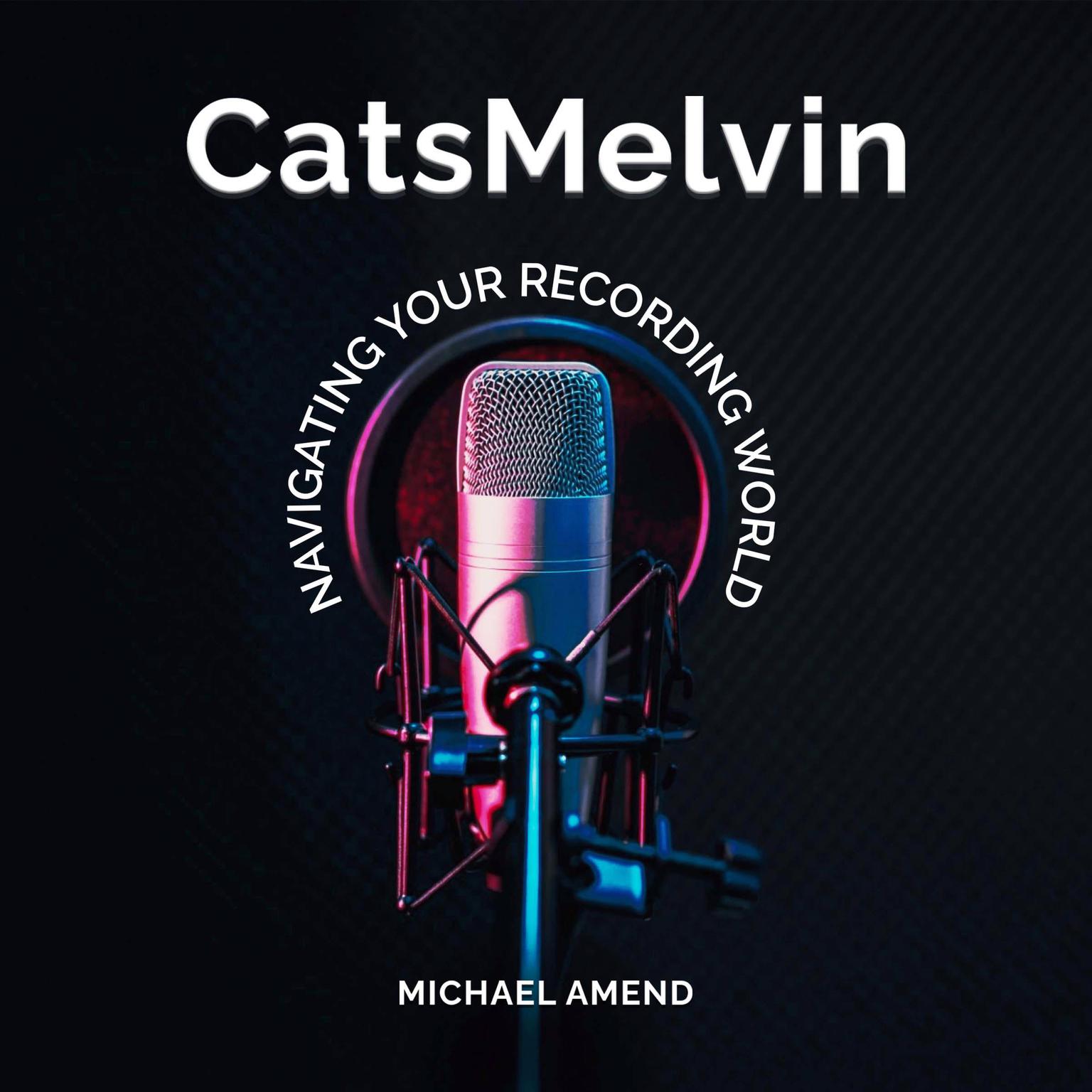 CatsMelvin: Navigating Your Recording World Audiobook, by Michael Amend