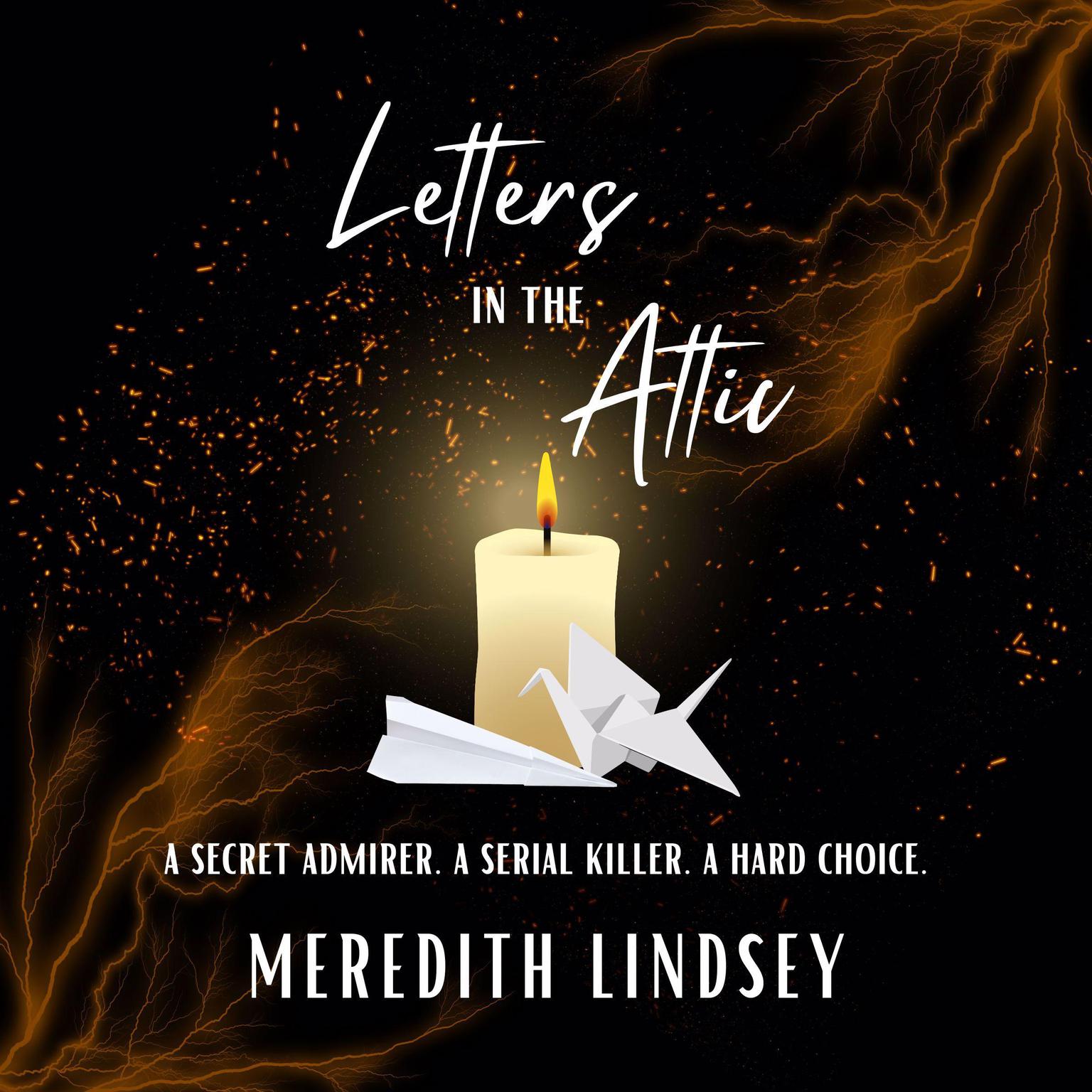 Letters in the Attic Audiobook, by Meredith Lindsey