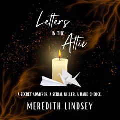 Letters in the Attic Audibook, by Meredith Lindsey