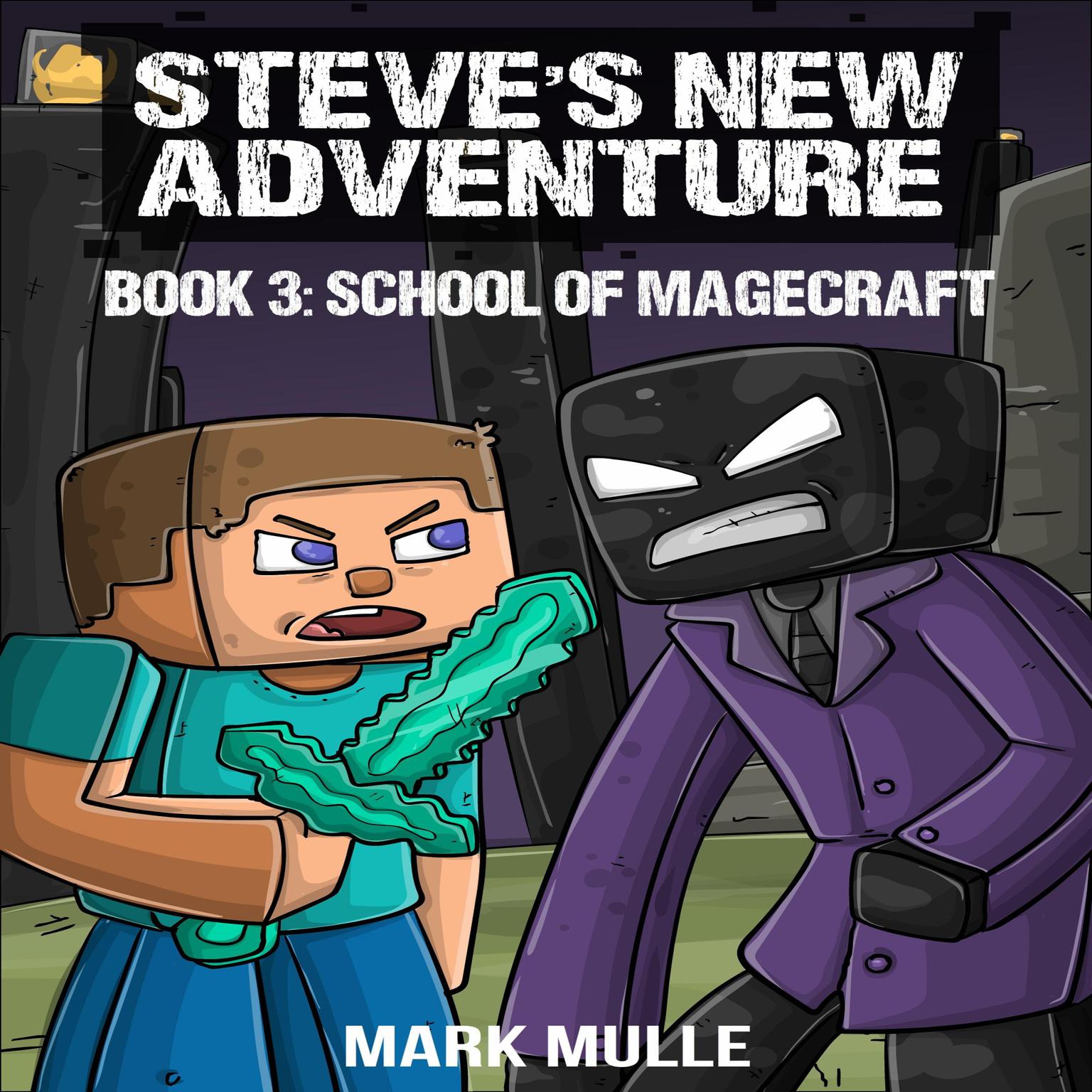 Steves New Adventure Book 3: School of Magecraft (Changing Horizon) Audiobook, by Mark Mulle