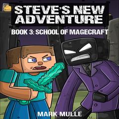 Steve's New Adventure Book 3: School of Magecraft (Changing Horizon) Audibook, by Mark Mulle