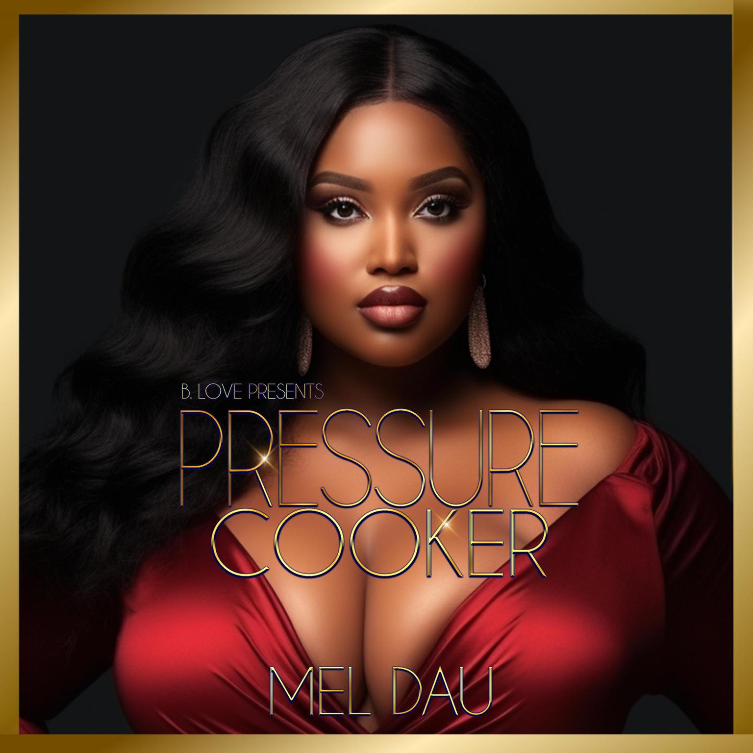 Pressure Cooker Audiobook, by Mel Dau