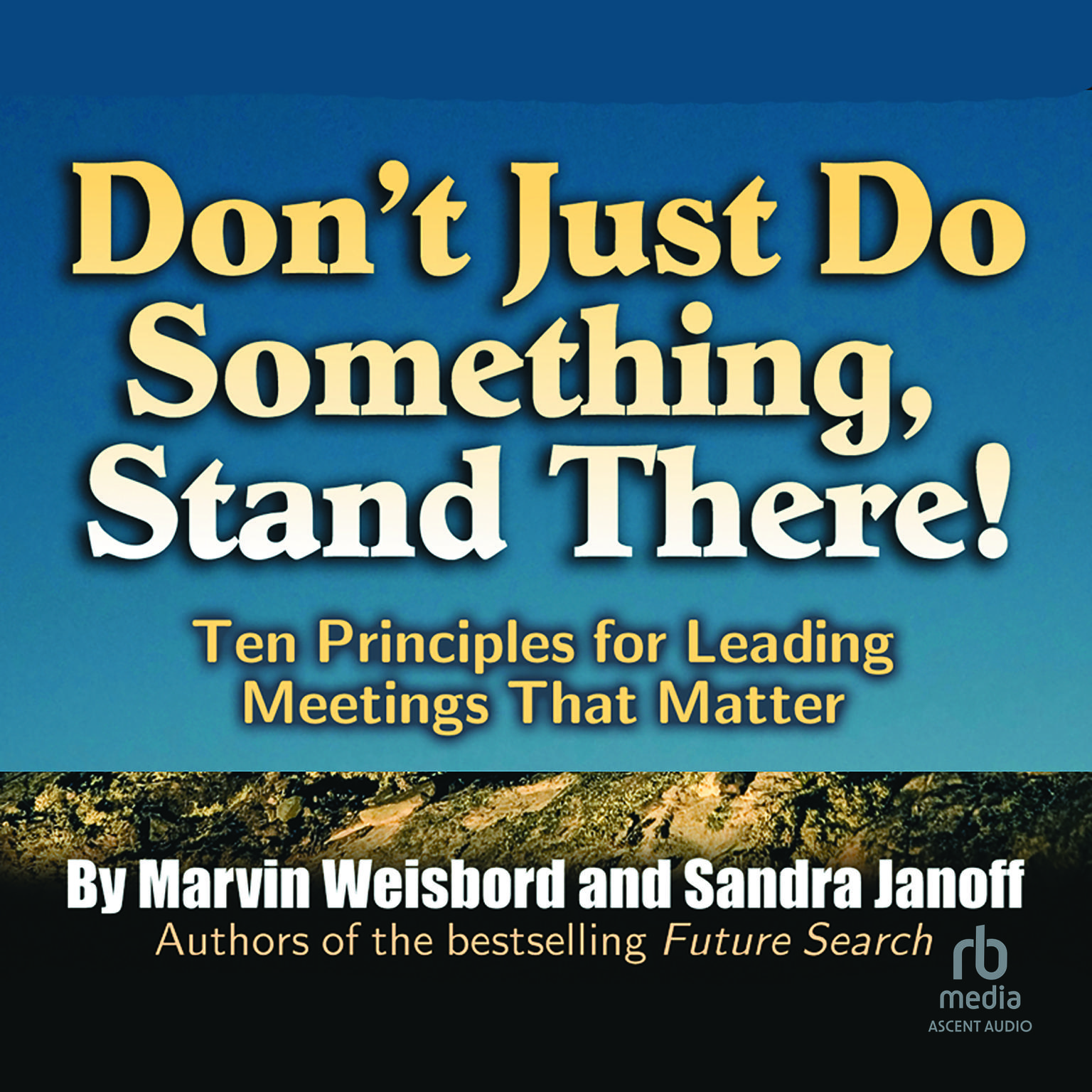 Dont Just Do Something, Stand There!: Ten Principles for Leading Meetings That Matter Audiobook, by Marvin Weisbord