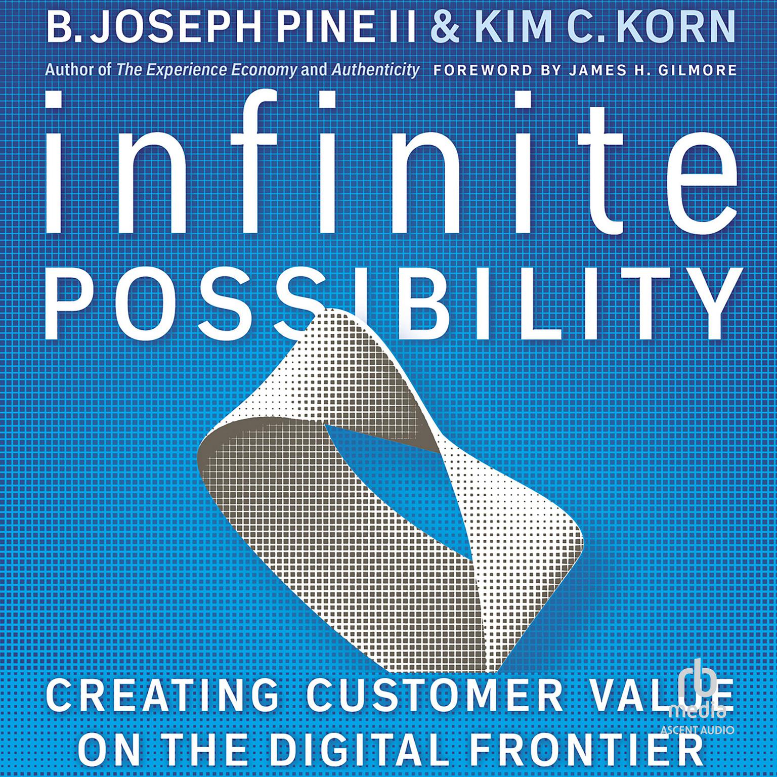 Infinite Possibility: Creating Customer Value on the Digital Frontier Audiobook, by B. Joseph Pine