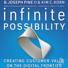 Infinite Possibility: Creating Customer Value on the Digital Frontier Audibook, by B. Joseph Pine