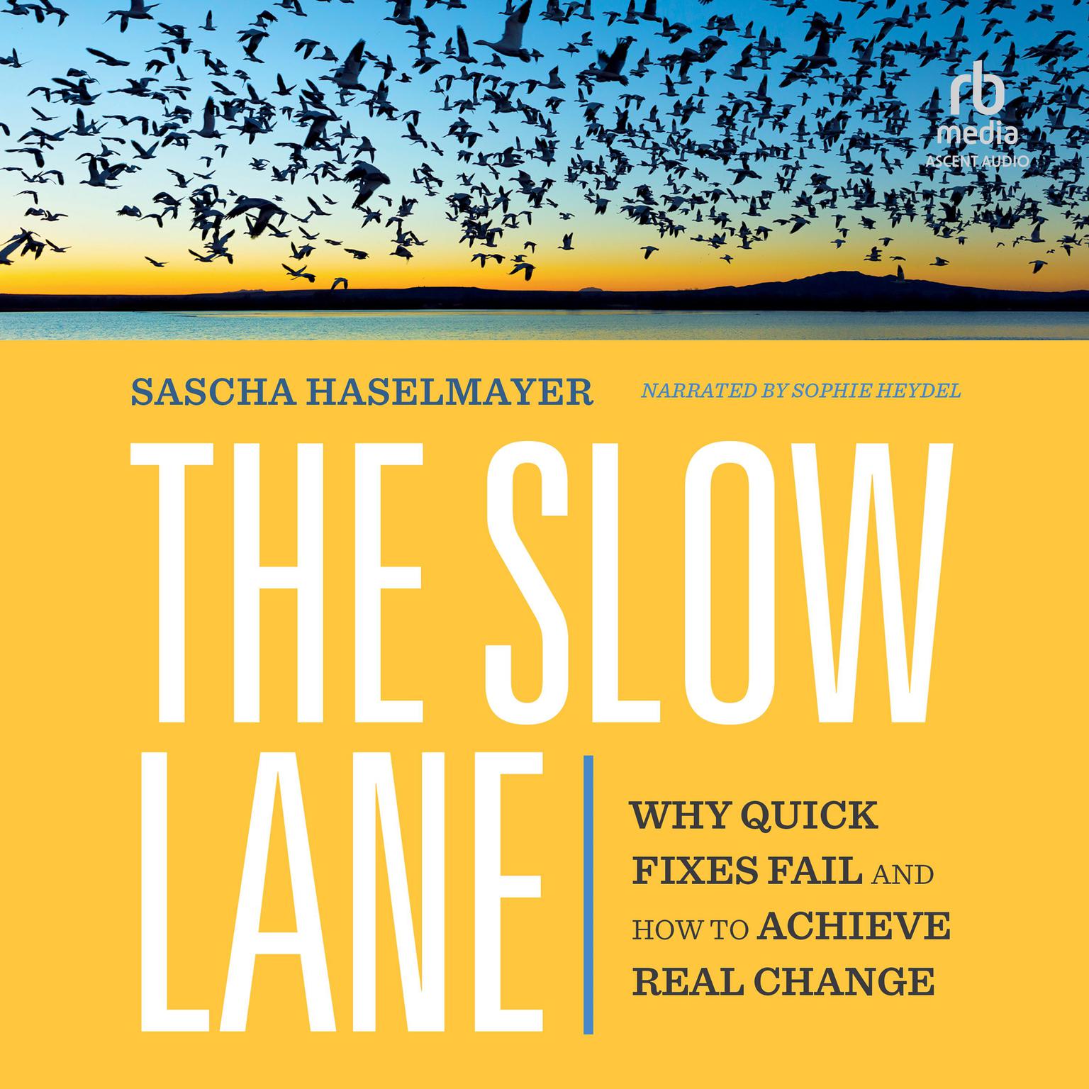 The Slow Lane: Why Quick Fixes Fail and How to Achieve Real Change Audiobook, by Sascha Haselmayer