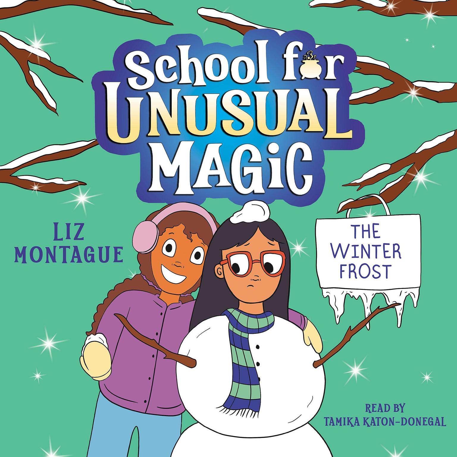 The Winter Frost Audiobook, by Liz Montague