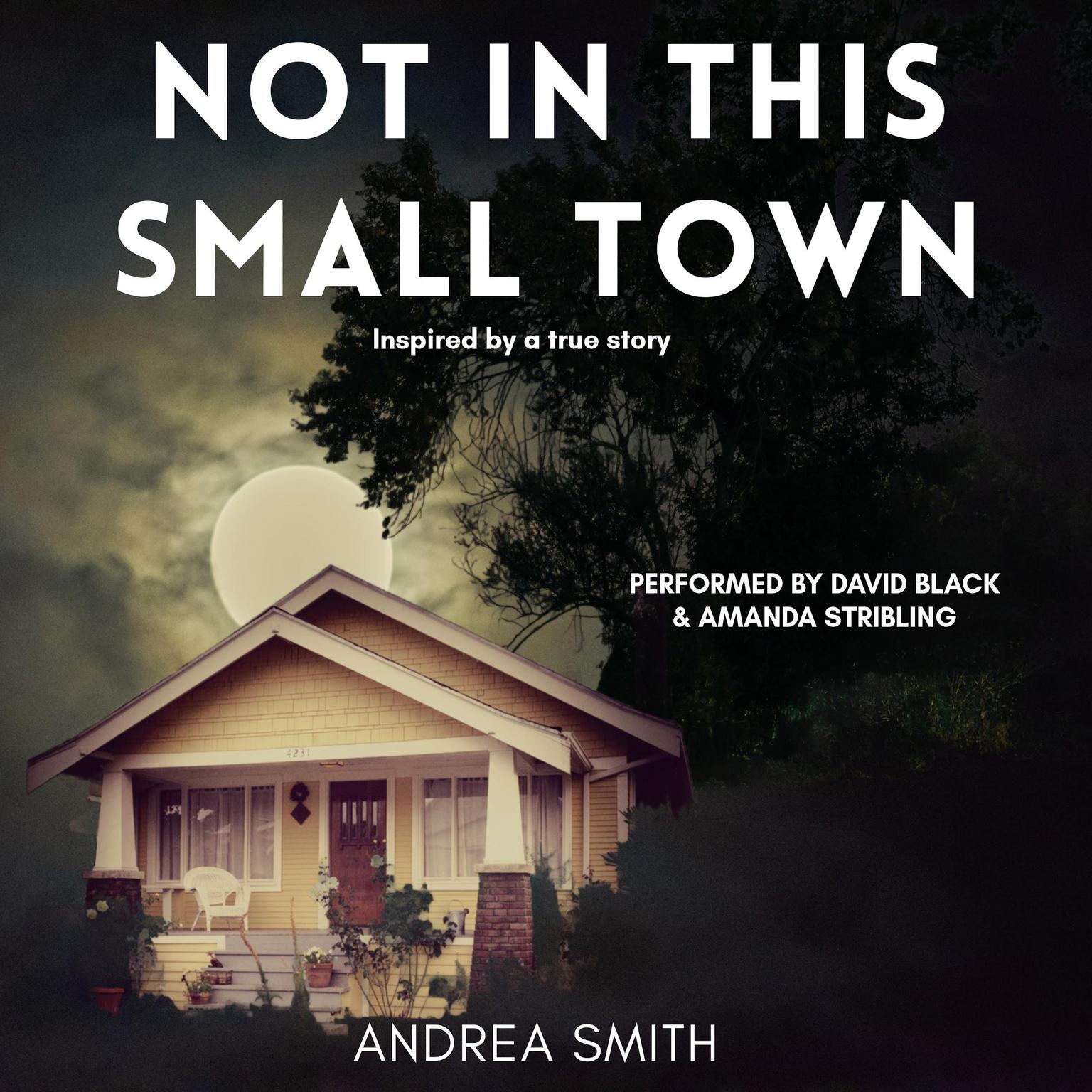 Not In This Small Town Audiobook, by Andrea Smith