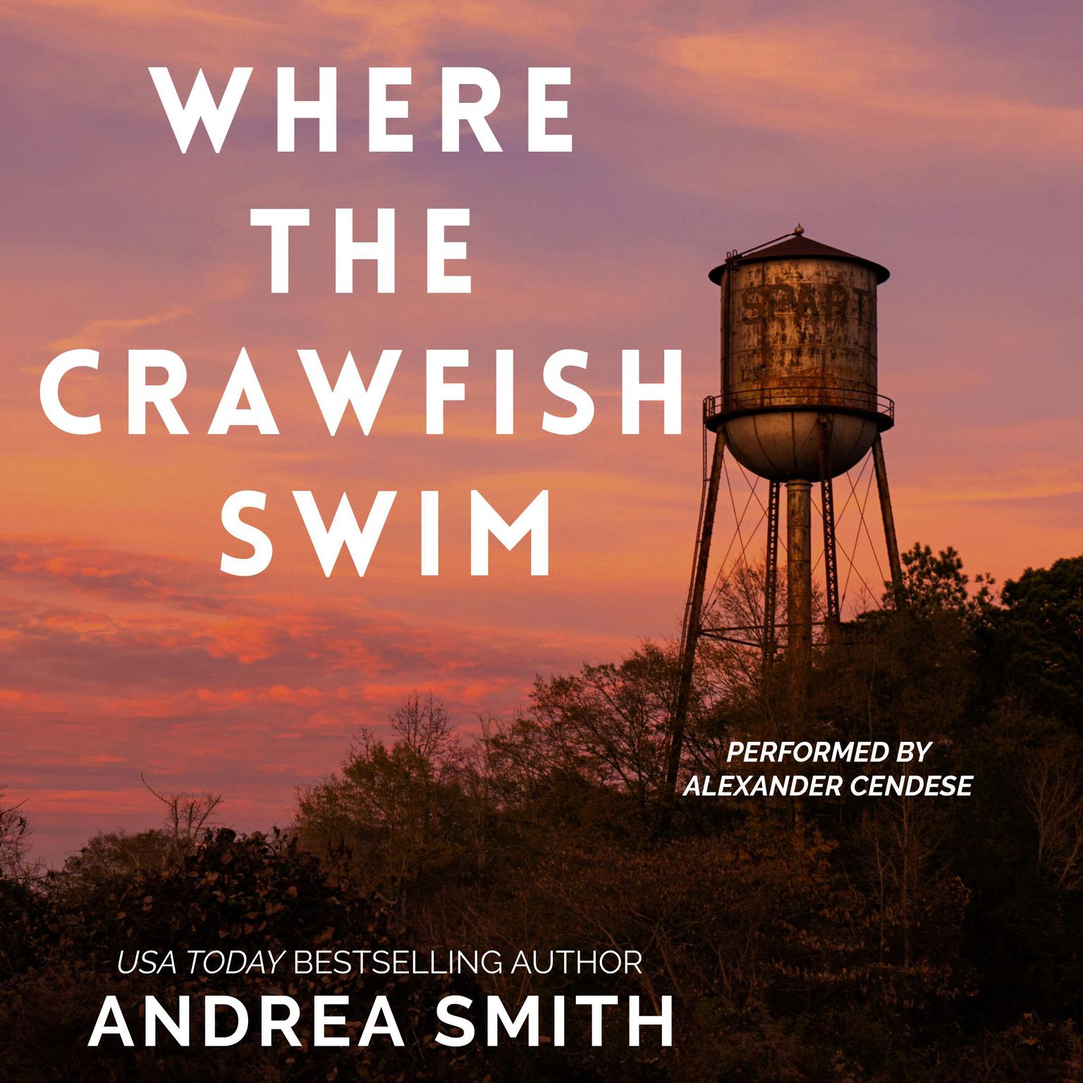 Where The Crawfish Swim Audiobook, by Andrea Smith