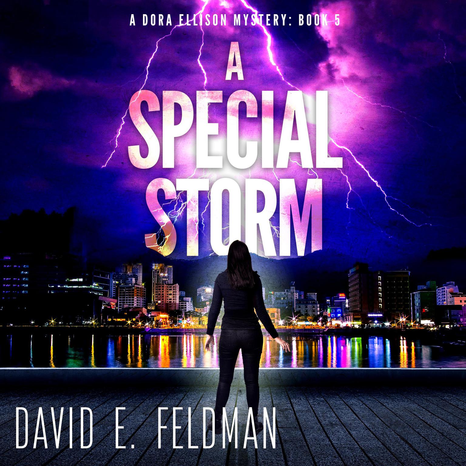 A Special Storm: A Dora Ellison Mystery, Book 5 Audiobook, by David E. Feldman