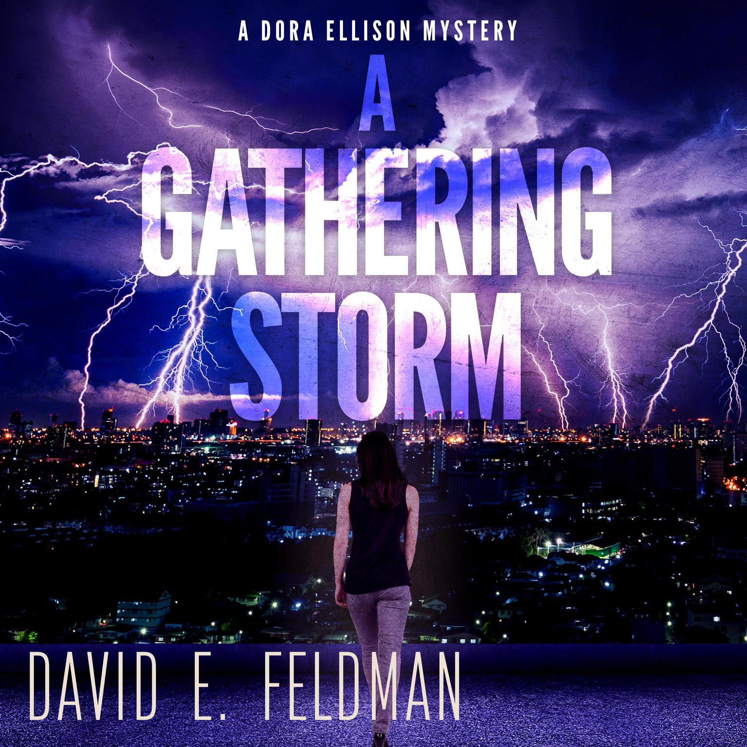 A Gathering Storm: A Murder Mystery Thriller: Dora Ellison Mystery, Book 2 Audiobook, by David E. Feldman