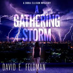 A Gathering Storm: A Murder Mystery Thriller: Dora Ellison Mystery, Book 2 Audibook, by David E. Feldman