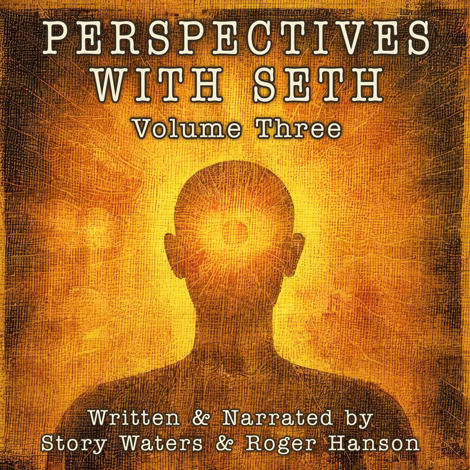 Perspectives With Seth: Volume Three Audiobook, by Story Waters