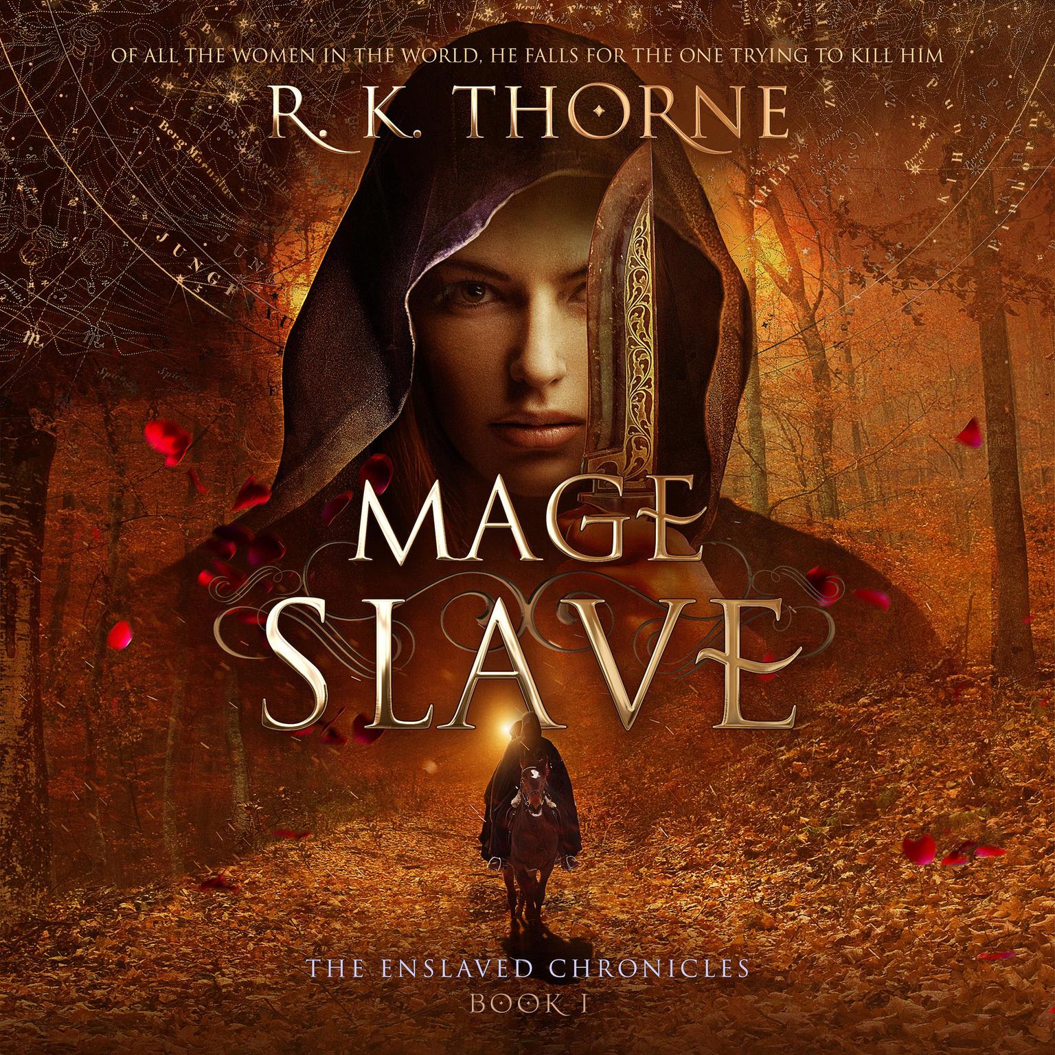 Mage Slave Audiobook, by R. K. Thorne