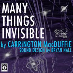 Many Things Invisible Audiobook, by Carrington MacDuffie