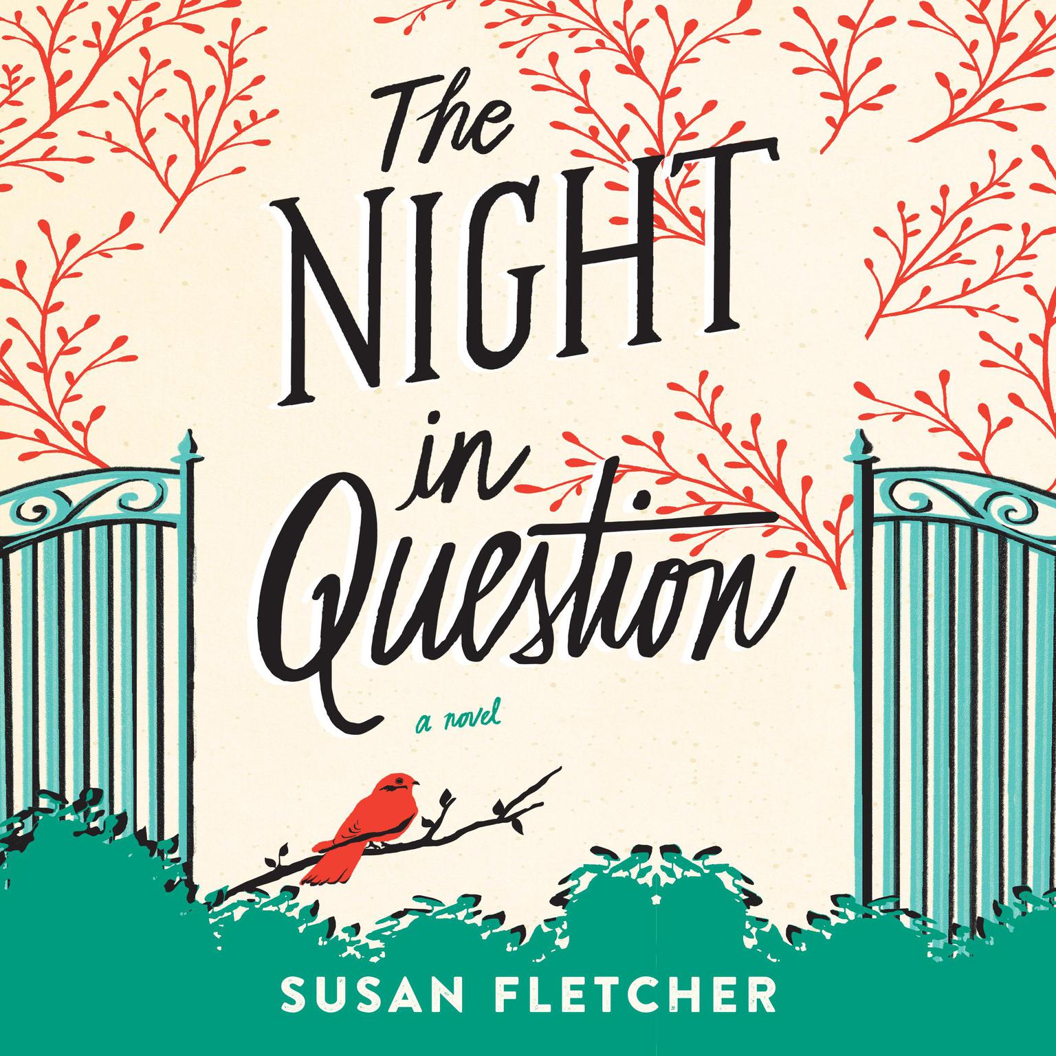 The Night in Question Audiobook, by Susan Fletcher