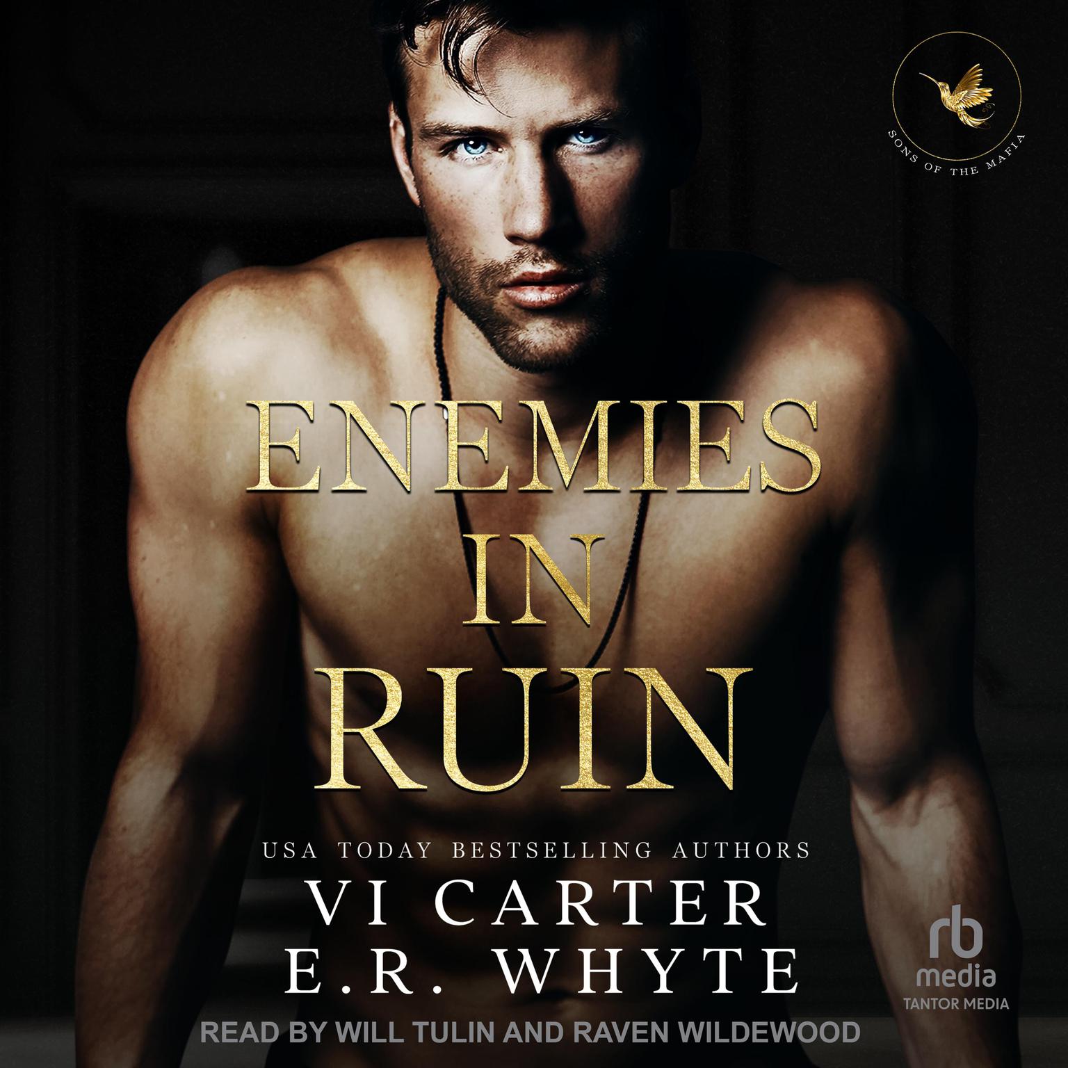 Enemies in Ruin Audiobook, by E.R. Whyte